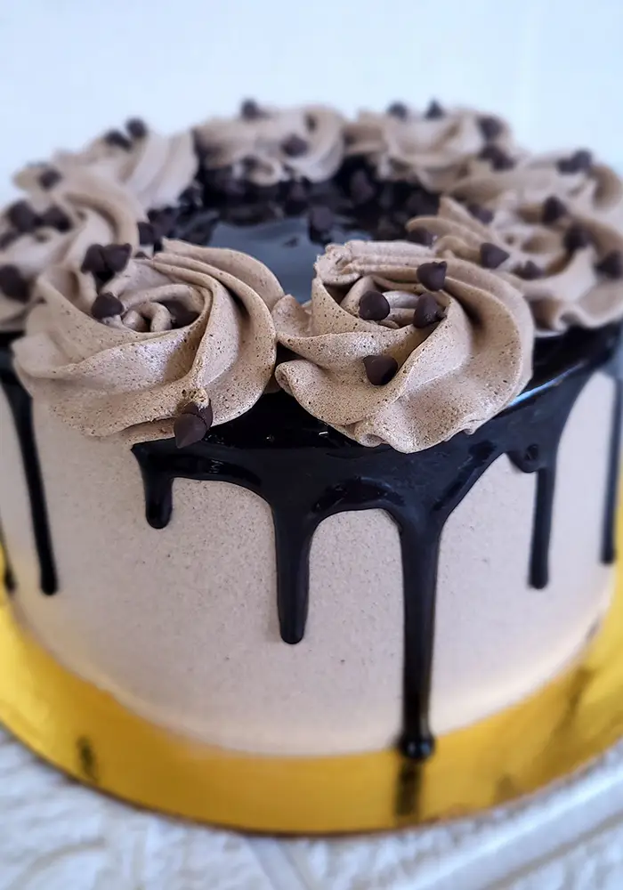 Rich homemade chocolate cake from ABi Home Baker